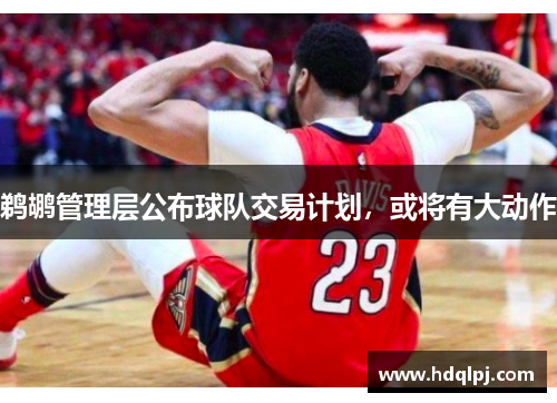 鹈鹕管理层公布球队交易计划，或将有大动作